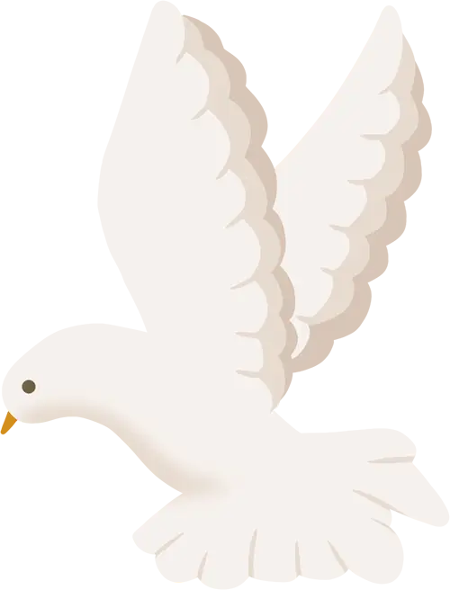 史诗巨制《澎湖海战》定档7月25日，红色光影专场震撼重现统一篇章