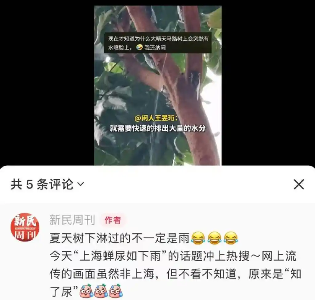 蝉鸣一夜吵醒全网？今夏《蝉灾》上热搜：网友调侃“吃货救援队”何时出动！