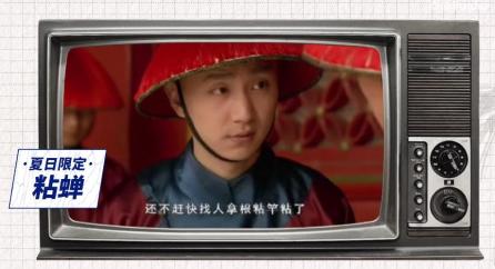 蝉：以我一族之躯，奏响你整个盛夏的沉浸式乐章