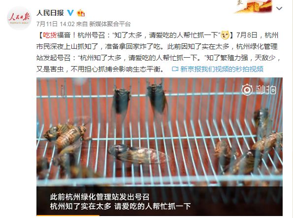 赛过小龙虾的夏季顶流，这种蝉味美食背后的秘密您知道吗？