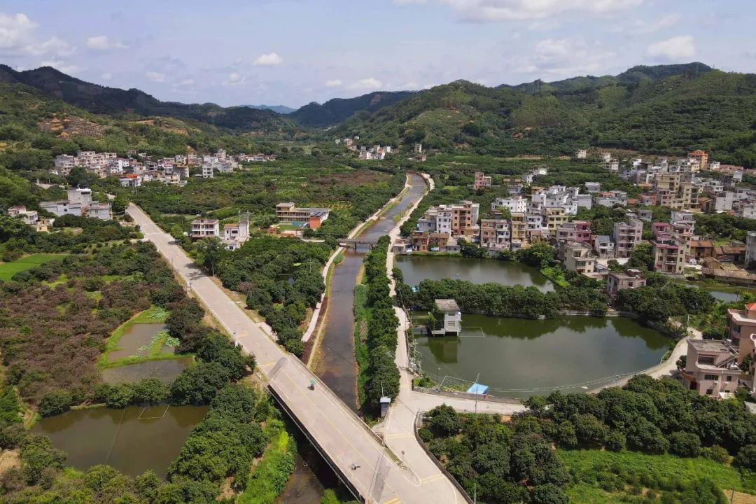 聚宝藏珠”山水荔乡：郁南县宝珠镇发展的新画卷——镇委书记工作纪实⑬