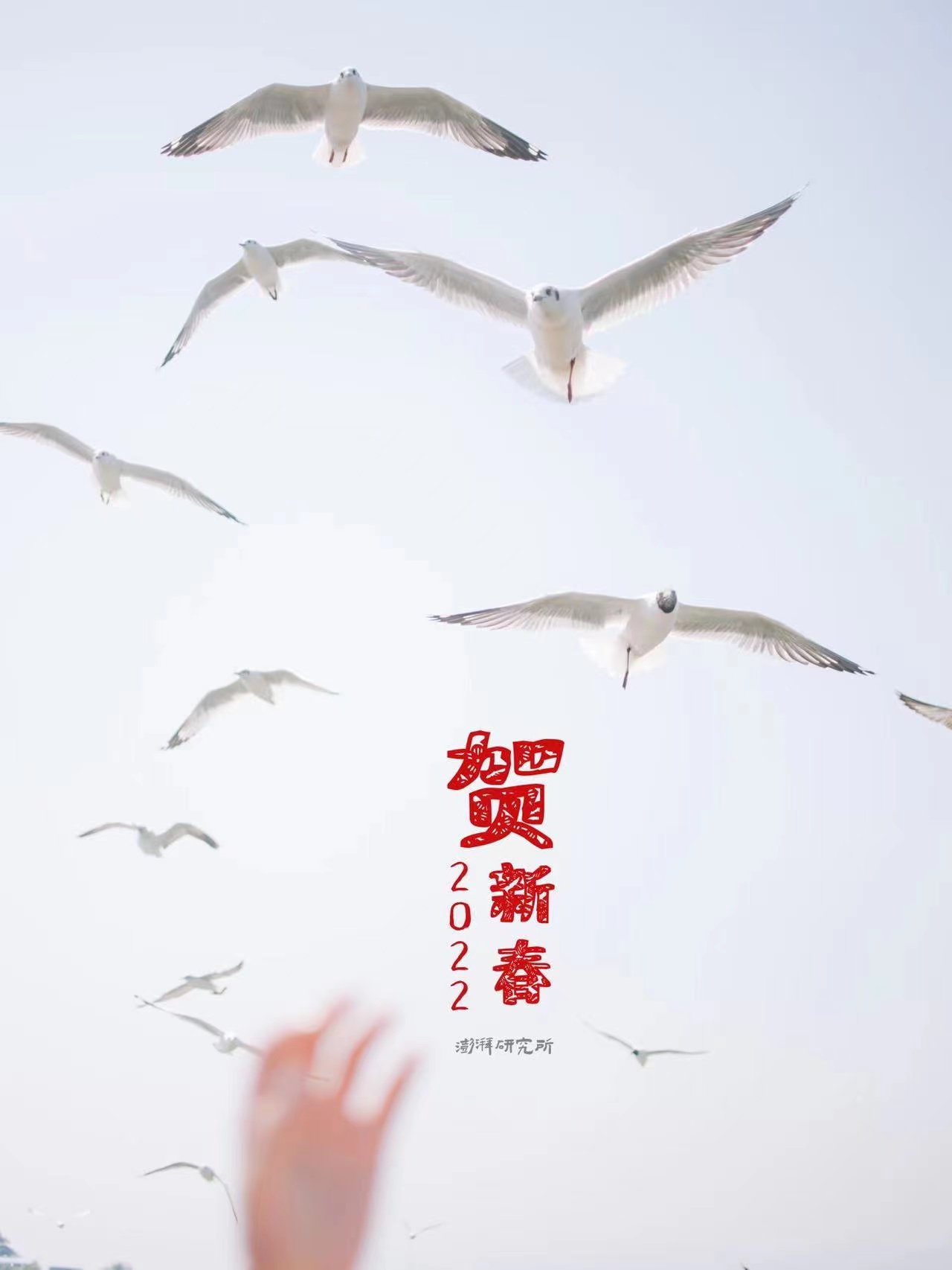 水韵长流，万物共生：《我们的水》中的天时与人和