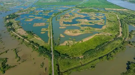 《黄河行》生态新篇：河清海晏，沿黄大地绿意长