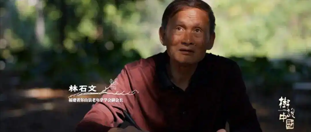 替两岸亲人执笔半生，榕树下的阿嬷情书有了现实回响