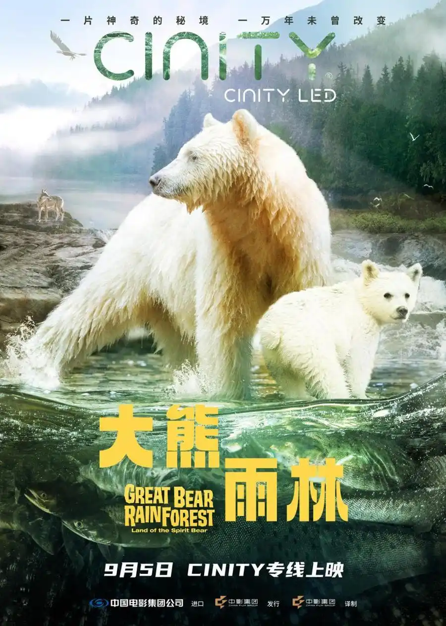 9月5日震撼登场，《大熊雨林》携独家影像技术启幕家庭自然美学探索之旅