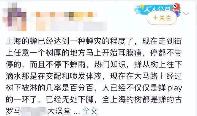 申城惊现大规模蝉群泛滥，千里之外的齐鲁百姓竟也跟着坐立难安