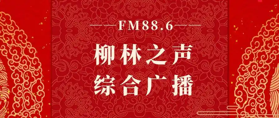 光影札记：深度解析《功夫女足》
