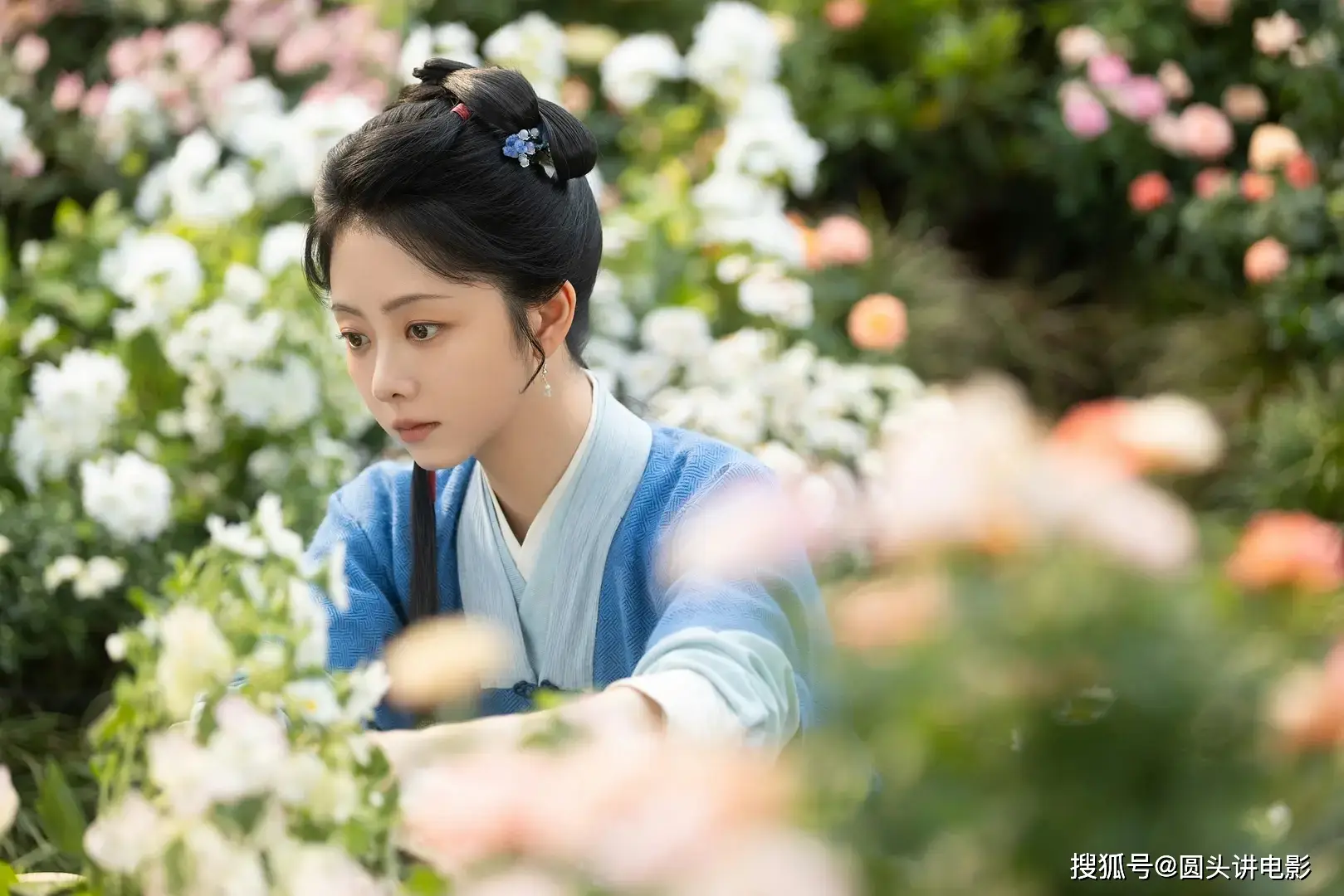 全网剧集热度风云榜：榜首狂揽78.84分，《一瓯春》意外垫底