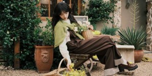 <?php the_title(); ?>