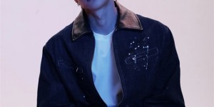 <?php the_title(); ?>