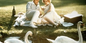 <?php the_title(); ?>