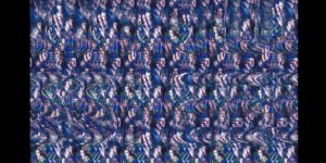 <?php the_title(); ?>