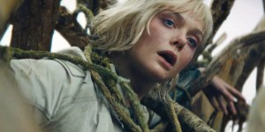 <?php the_title(); ?>