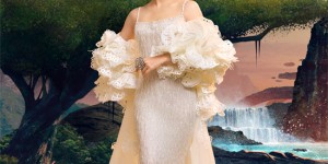 <?php the_title(); ?>