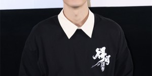 <?php the_title(); ?>