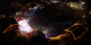 <?php the_title(); ?>