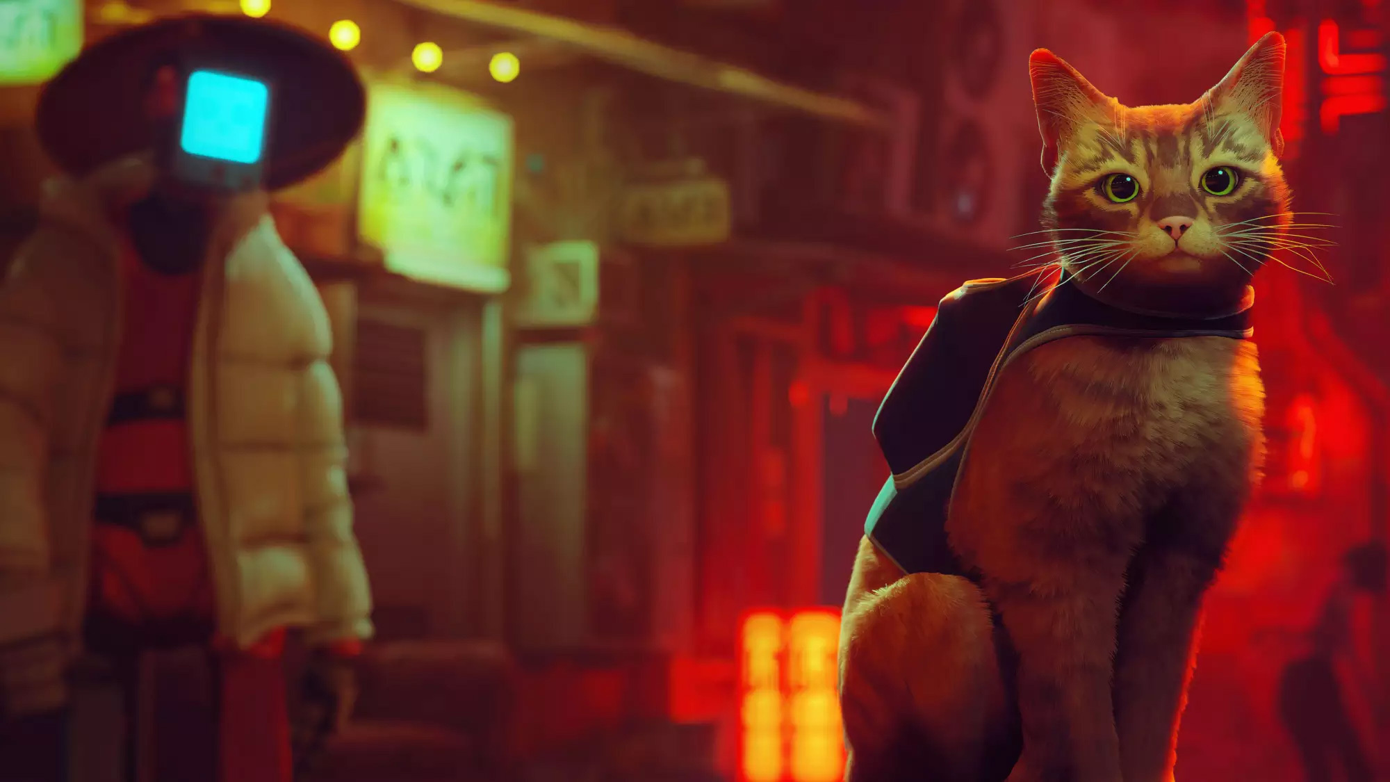 《Stray》- 从赛博朋克猫咪冒险游戏到动画电影的改编之路