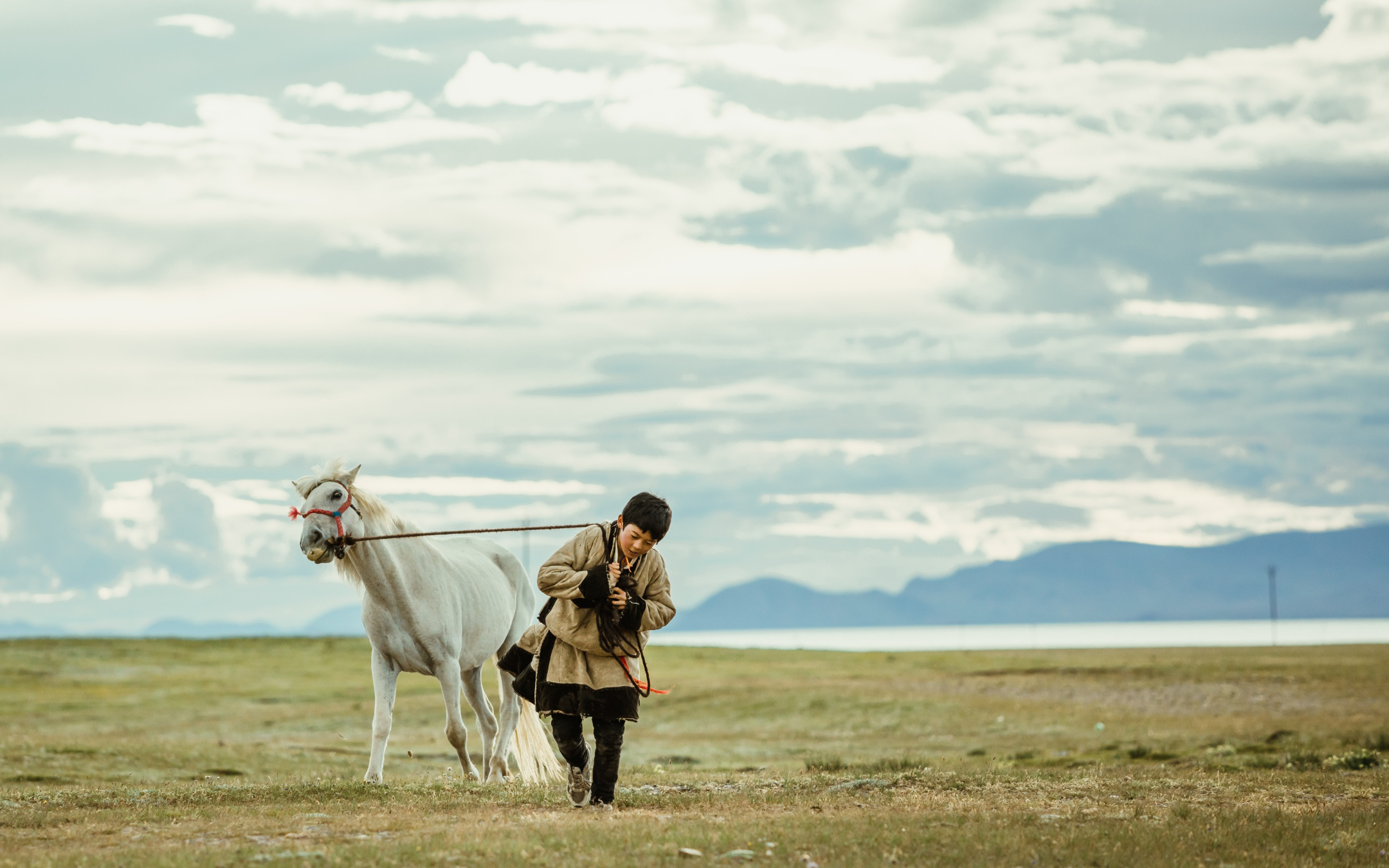 《江米儿》上映，田壮壮监制，让您深入体验马背上的少年梦想