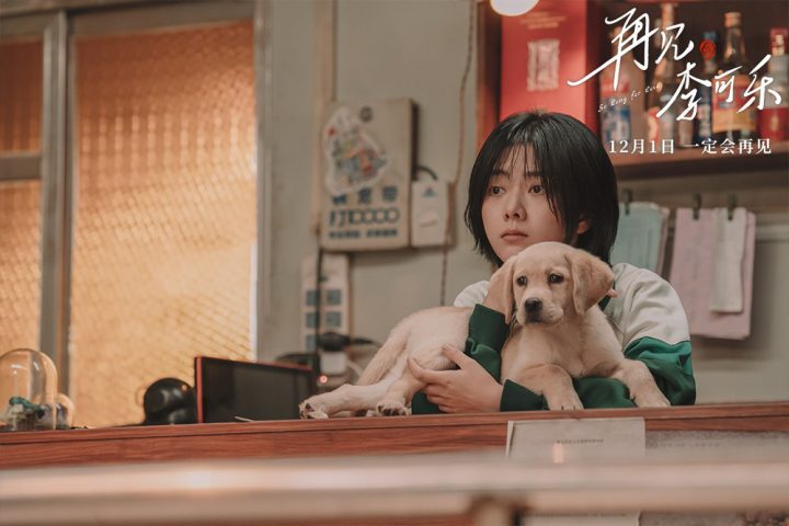 谭松韵、闫妮和吴京携手拍摄萌犬特辑《再见，李可乐》