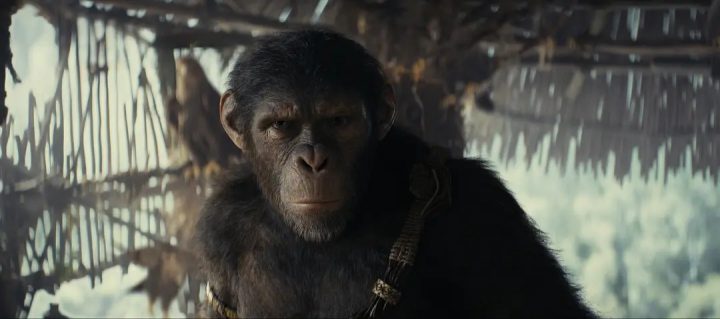 《猩球崛起：新世界》曝光角色照，继承领导者的精神