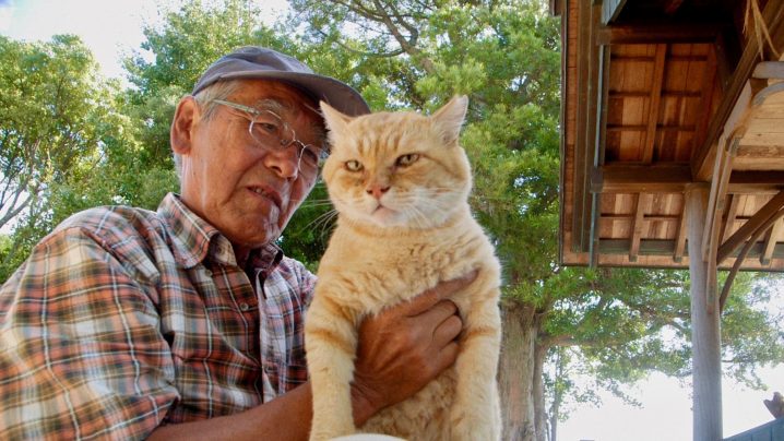 想田和弘执导的电影《五香宫的猫》荣获柏林电影节提名