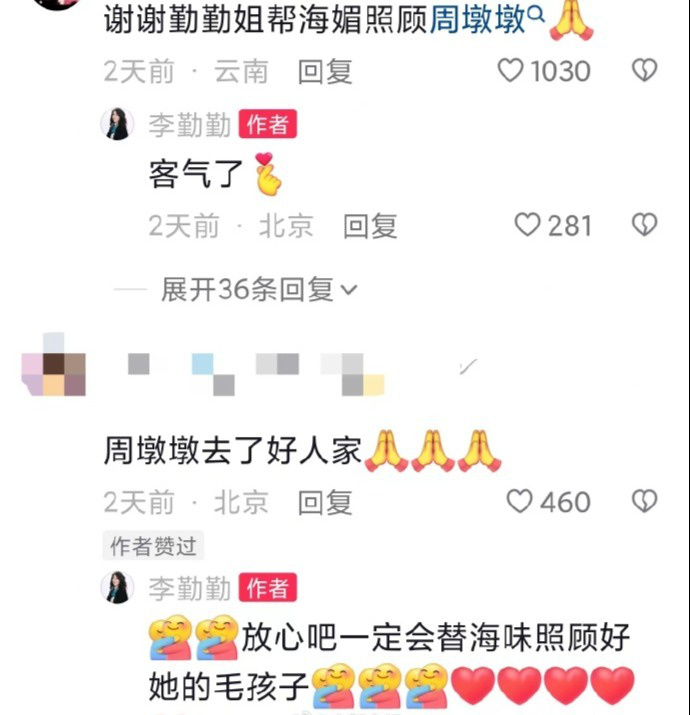 周海媚的爱犬被李勤勤领养：放心，我一定会以海盐的名义好好照顾她的毛孩子