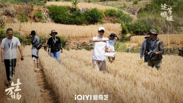 电视剧《生万物》杀青，主演由杨幂和欧豪领衔-1