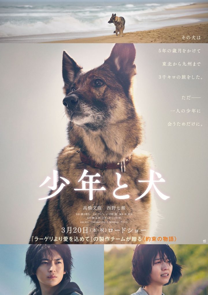 《少年与犬》预告首发，高桥文哉主演直木奖力作-1