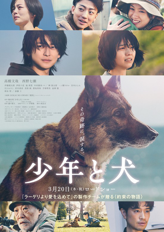 高桥文哉新作《少年与犬》预告曝光，催泪主题曲公开-1