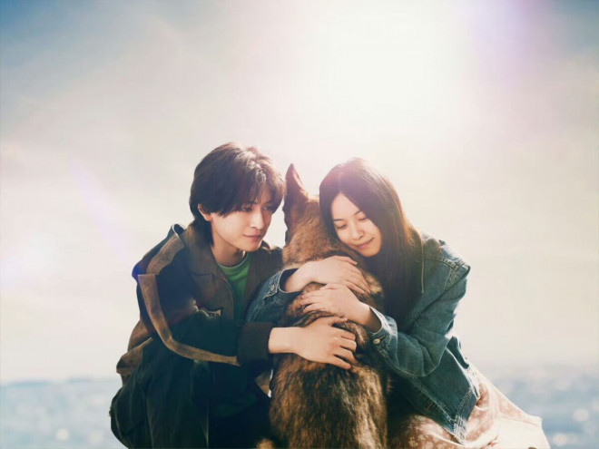 高桥文哉新作《少年与犬》预告曝光，催泪主题曲公开-2