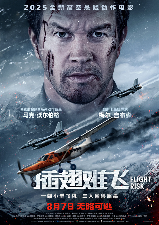 《插翅难飞》「BD720P/3.3G-MKV」原声版阿里网盘TC版magnet磁力链接资源-1
