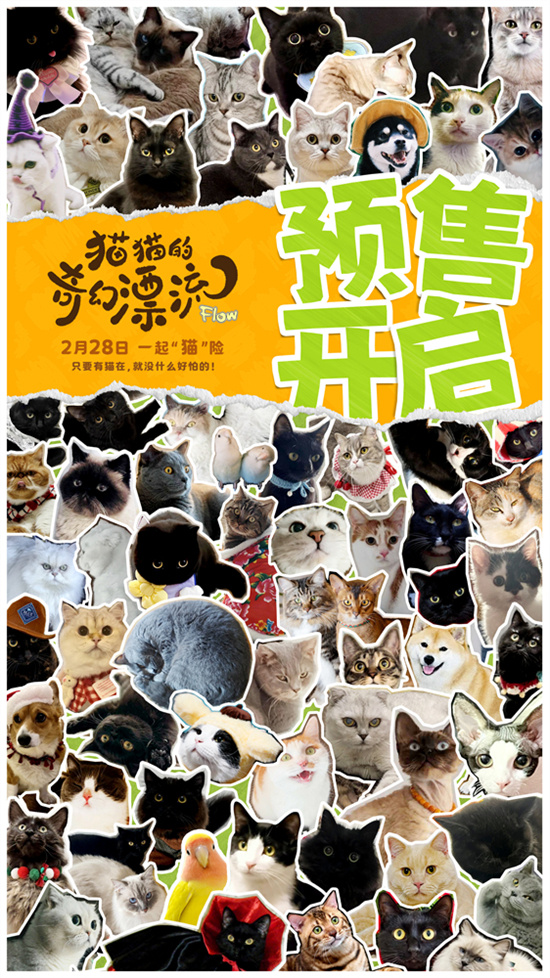 《猫猫的奇幻漂流》阿里云（BD720P/3.3G-MP4）迅雷资源国语版TC版-1