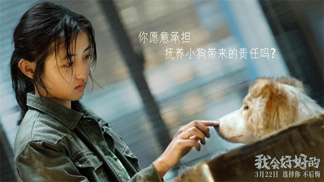 3月22日上映：张子枫与萌宠的温馨故事-2