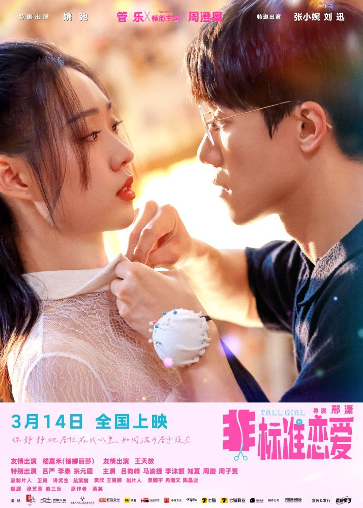 《非标准恋爱》国语版（BD720P/3.9G-MKV）阿里云高清版magnet磁力链接资源-1