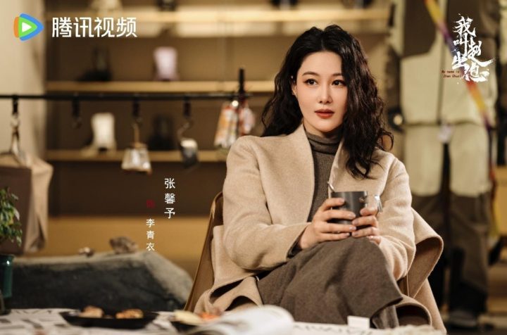 《我叫赵出息》阿里云【HD-MP41.7GB】国语版迅雷资源在线看超清-1