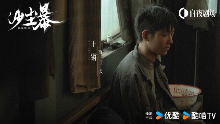 优酷白夜剧场《沙尘暴》首播：荒漠追凶，人性探索-3
