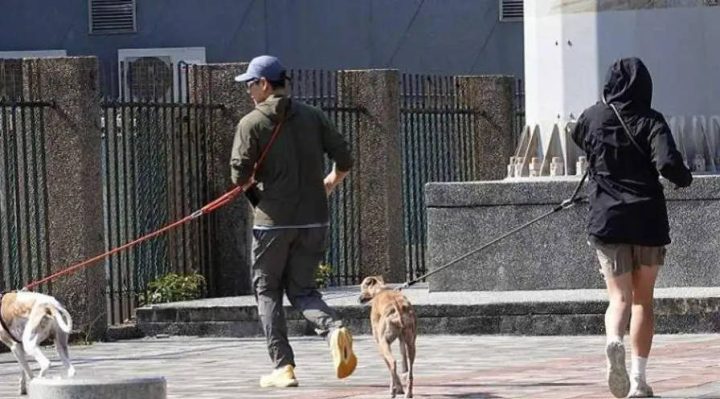 彭于晏新恋情传闻遭经纪人否认：仅遛狗之交-1