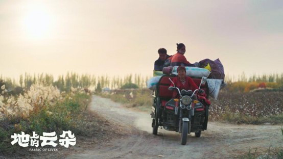《地上的云朵》【HD1080P/3.6G-MP4】国语版资源在线观看高清版本网盘-2