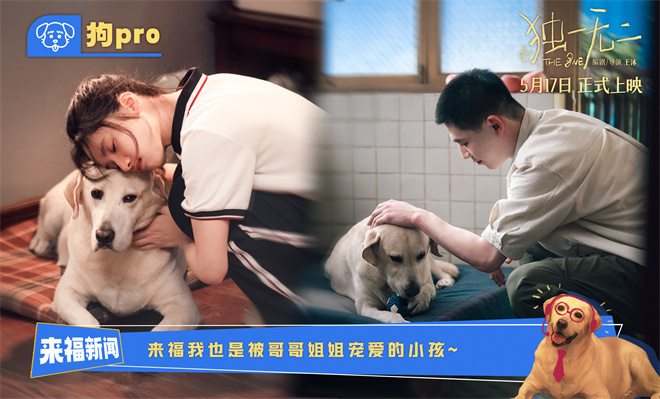 《独一无二》【BD1280P/3.9G-MKV】超清晰版百度网盘迅雷资源在线看国语中字-1