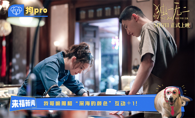 《独一无二》【BD1280P/3.9G-MKV】超清晰版百度网盘迅雷资源在线看国语中字-3