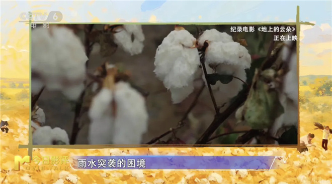 《地上的云朵》「HD1080P/3.6G-MP4」阿里云国语版蓝光版迅雷资源在线看-4