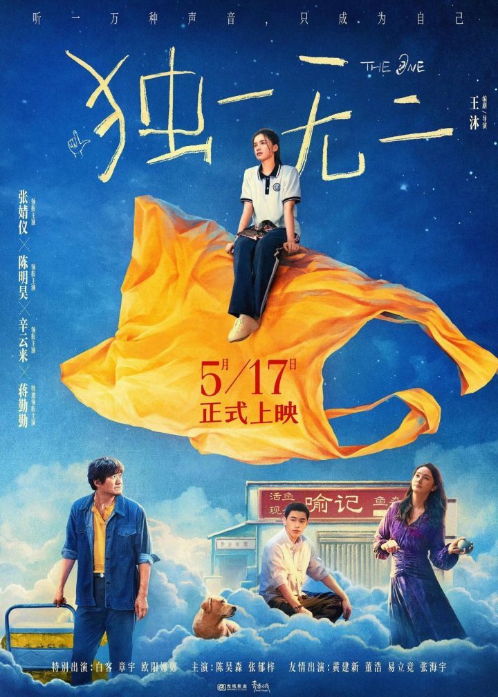 《独一无二》「HD1080P/3.3G-MP4」阿里云盘超清晰版迅雷资源BT种子原声版-2