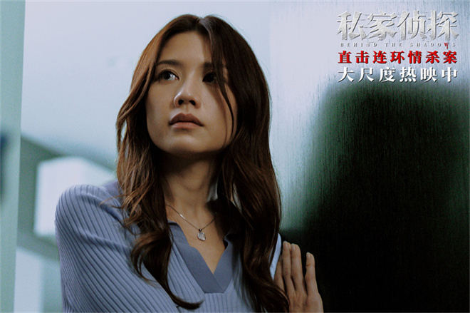 《私家侦探》国语中字百度云盘独家资源上线TC版【HD720P】-2