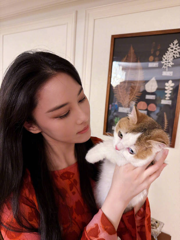 张馨予居家随拍：抱猫合影，温馨养眼-1