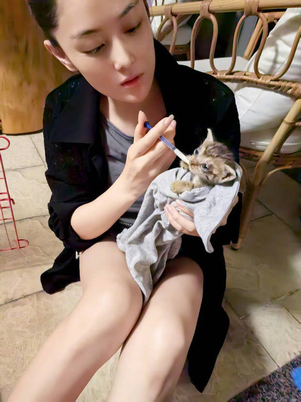 张馨予居家随拍：抱猫合影，温馨养眼-2
