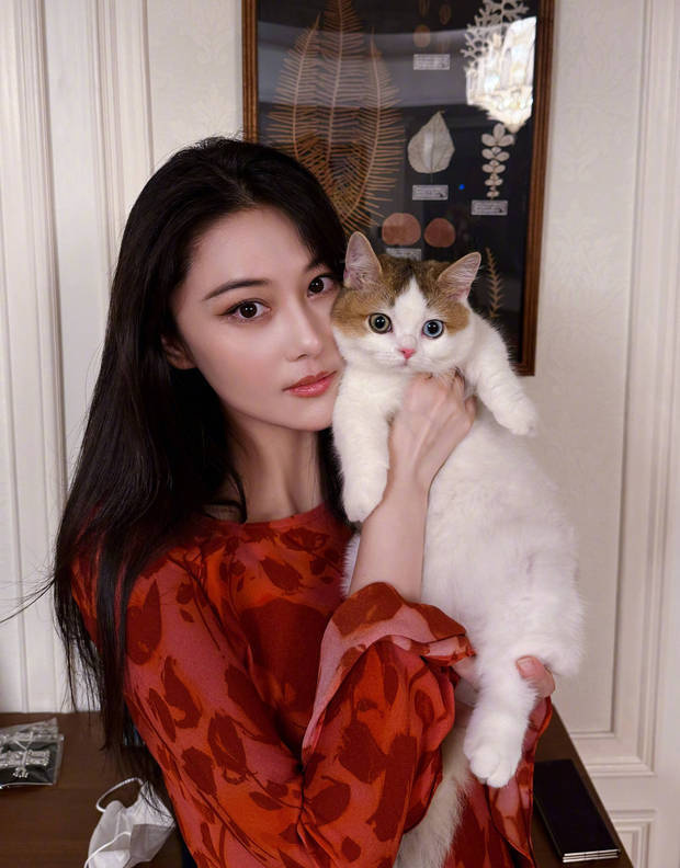 张馨予居家随拍：抱猫合影，温馨养眼-1