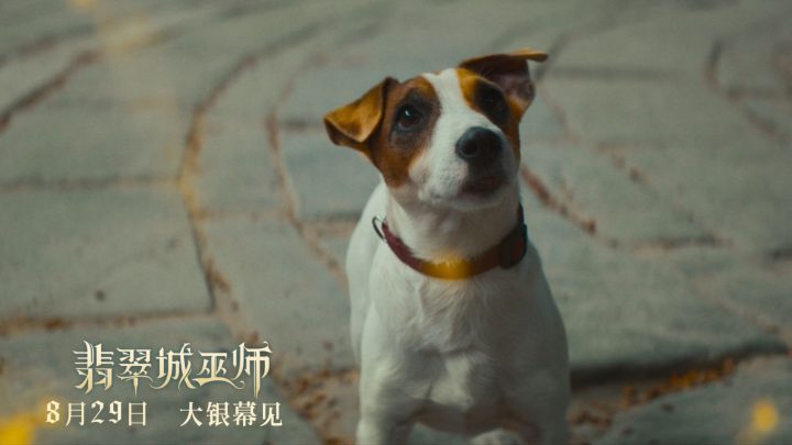 暑期尾声盛宴！俄罗斯《翡翠城巫师》8月29日上映-1