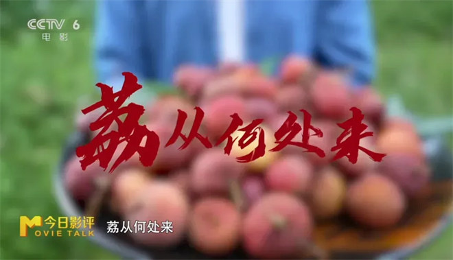 “李善德”荔枝，人生百味尽在其中-3