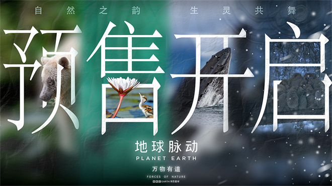 汉斯·季默配乐《地球脉动：万物有道》9月12日上映-2