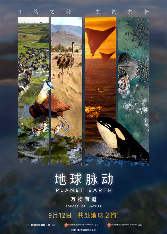 汉斯·季默配乐《地球脉动：万物有道》9月12日上映-1